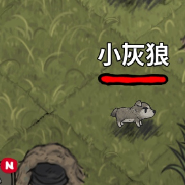 寵物-狼-小灰狼剛出現
