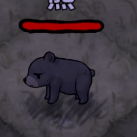 寵物-熊-小黑熊肚子餓