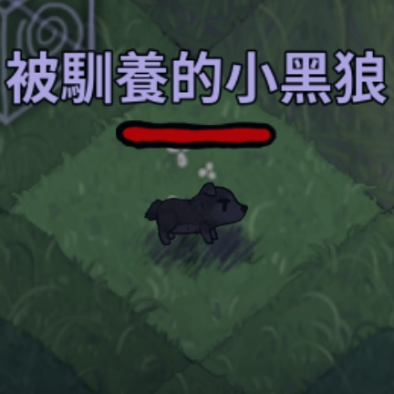 寵物-狼-馴養小黑狼