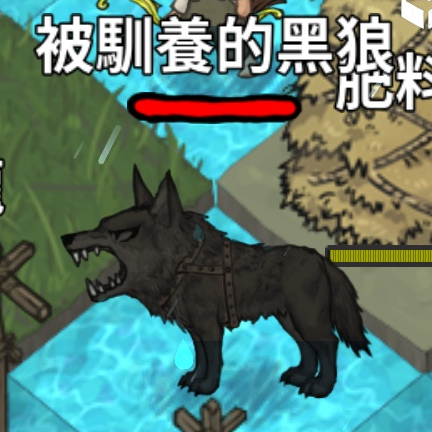 寵物-狼-馴養的黑狼