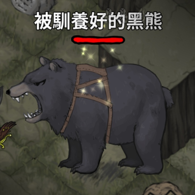 寵物-熊-馴養的黑熊